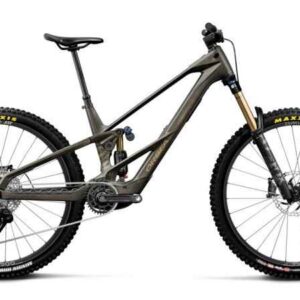 Orbea WILD LT M10 M – gold